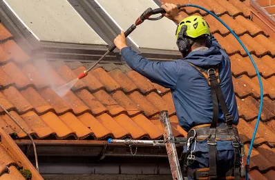 Démoussage et hydrofuge de toiture à Sardieu